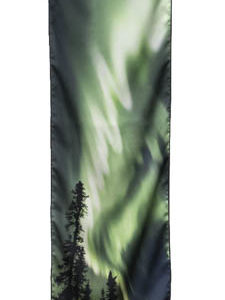 Forest Lights (small)