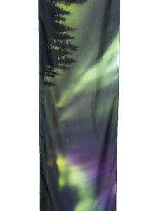 Sky Sentinels (small)